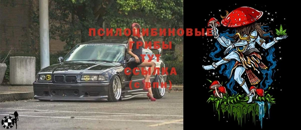 Альфа ПВП Аркадак
