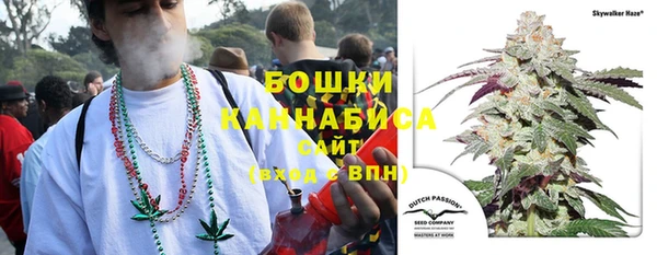 спиды Арсеньев