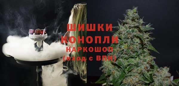 Альфа ПВП Аркадак