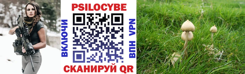 Галлюциногенные грибы ЛСД  Саяногорск 